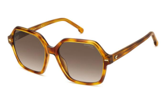 CARRERA 3026/S