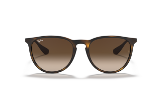 Ray-Ban Erika 4171