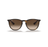 Ray-Ban Erika 4171