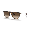 Ray-Ban Erika 4171