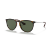 Ray-Ban Erika 4171