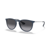 Ray-Ban Erika 4171