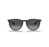 Ray-Ban Erika 4171
