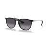 Ray-Ban Erika 4171