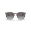 Ray-Ban Erika 4171