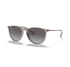 Ray-Ban Erika 4171