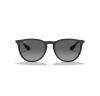 Ray-Ban Erika 4171
