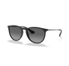 Ray-Ban Erika 4171