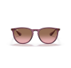 Ray-Ban Erika 4171