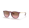 Ray-Ban Erika 4171