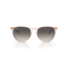 Ray-Ban Erika 4171