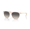 Ray-Ban Erika 4171