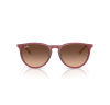 Ray-Ban Erika 4171