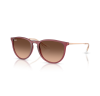 Ray-Ban Erika 4171