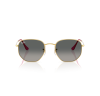 Ray-Ban 3548N