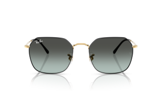 Ray-Ban Jim 3694