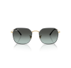 Ray-Ban Jim 3694
