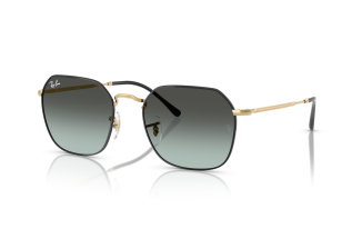 Ray-Ban Jim 3694
