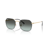 Ray-Ban Jim 3694