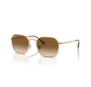 Ray-Ban Jim 3694