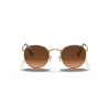 Ray-Ban Round Metal 3447