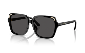 Swarovski 6034D