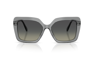Swarovski 6049