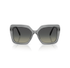 Swarovski 6049