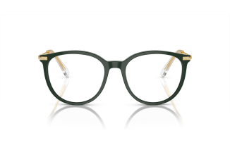 Swarovski 2009