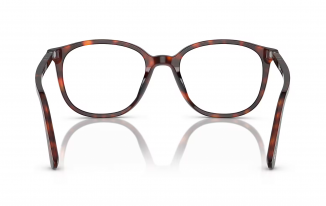 Persol 3317V